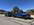 IMG_6446.jpeg