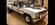 IMG_7991.jpeg