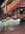 IMG_8682.jpeg