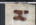 IMG_0631.png