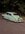 IMG_9982.jpeg