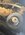 IMG_7041.jpeg