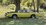 IMG_2353.jpeg