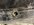 IMG_0135.jpeg