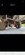 Screenshot_20261007_155804_Facebook.jpg