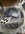 IMG_1018.jpeg