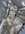 46076942-43CD-4118-9965-7579939FD6D6.jpeg