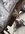 BE25AAF4-98B2-475B-85BC-A2F14C46DFB7.jpeg