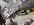 B94B1EEB-9E5A-49C3-A1B7-22D8B5FE8E66.jpeg