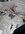 B5B62915-FA93-4B4C-930E-0E65211BE901.jpeg