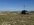 IMG_0475.jpeg