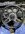 IMG_1041.jpeg