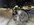 IMG_6206.jpeg