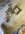 IMG_1047.jpeg