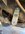 IMG_1048.jpeg