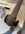 IMG_1049.jpeg