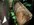 IMG_8125.jpeg