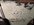 IMG_8126.jpeg