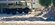IMG_0391.jpeg