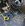 IMG_8898.jpeg