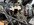 IMG_6747.jpeg