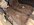 IMG_1030.jpeg