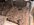 IMG_1036.jpeg