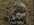 IMG_0669.jpeg