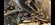 IMG_1560.jpeg IMG_1560.jpeg