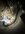 IMG_0289.jpeg