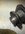 IMG_0293.jpeg