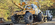 IMG_1794.png