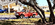 IMG_1796.png