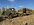 IMG_7581.jpeg