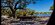 IMG_1847.jpeg