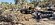 IMG_1846.jpeg