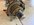 IMG_2649 small.jpg