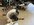 IMG_2717 small.jpg