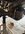 IMG_2739 small.jpg