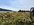 IMG_2815 small.jpg
