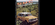 IMG_2168.png