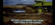 IMG_2500.png
