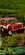 IMG_2235.jpeg