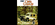 IMG_2122.png