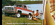 IMG_2118.png