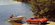 IMG_2178.png