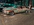 IMG_1105.png