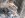 IMG_0809.jpg IMG_0809.jpg