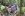 dcp_6134RauschFlop.jpg