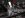 DSCN1918.JPG